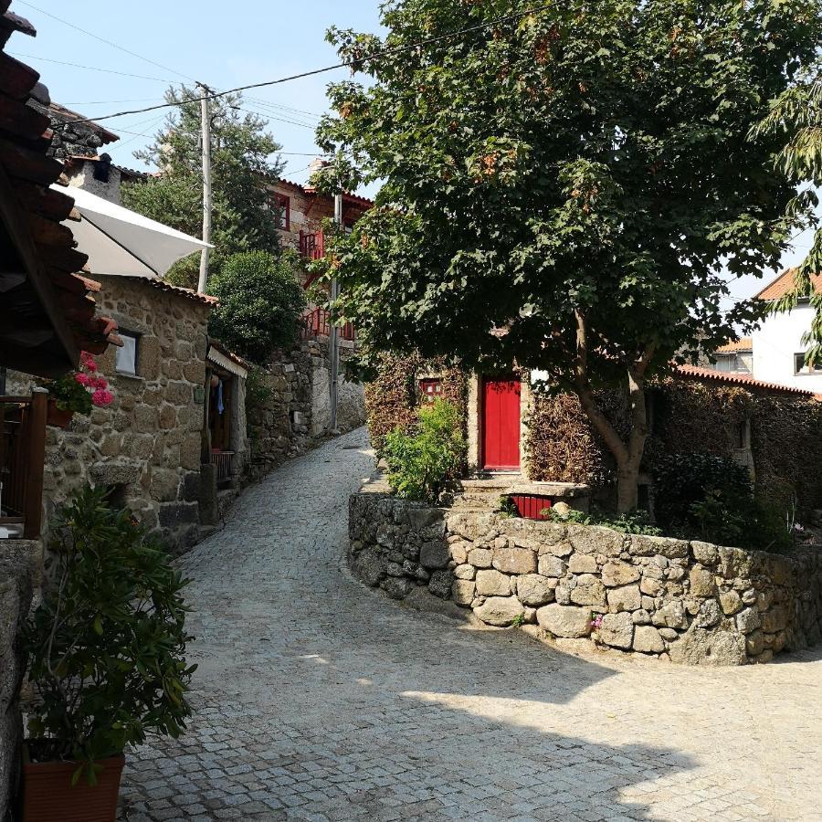 Вілла Casas Na Terra Сейя Екстер'єр фото